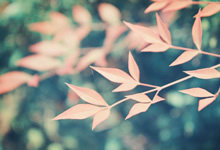 沉浸式夜游打造景区新趋势