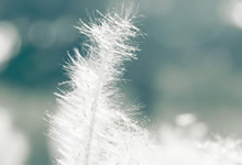 看球幕如何制造沉浸式氛围