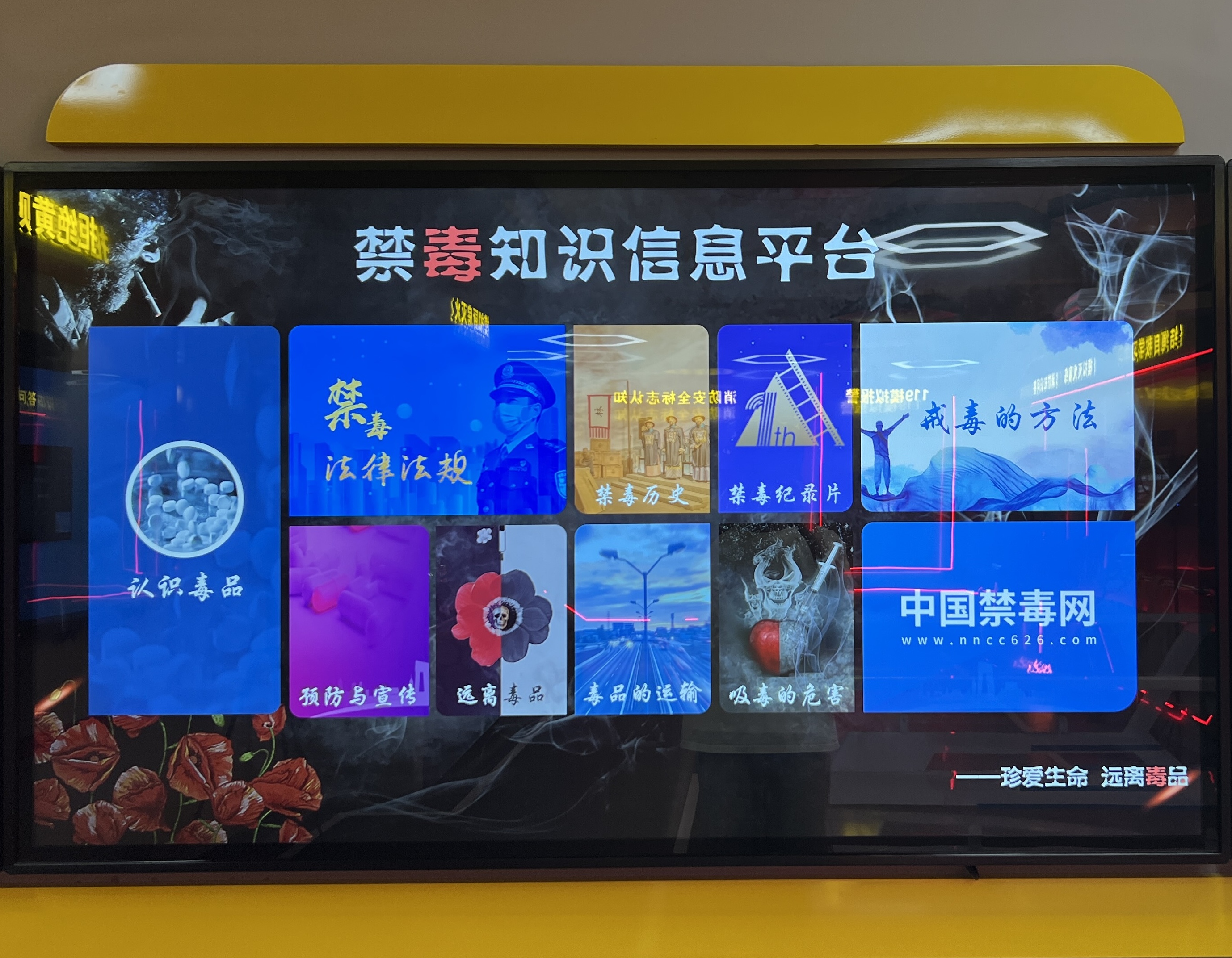 禁毒知识学习系统 禁毒教育展厅多媒体设备 禁毒教育系统